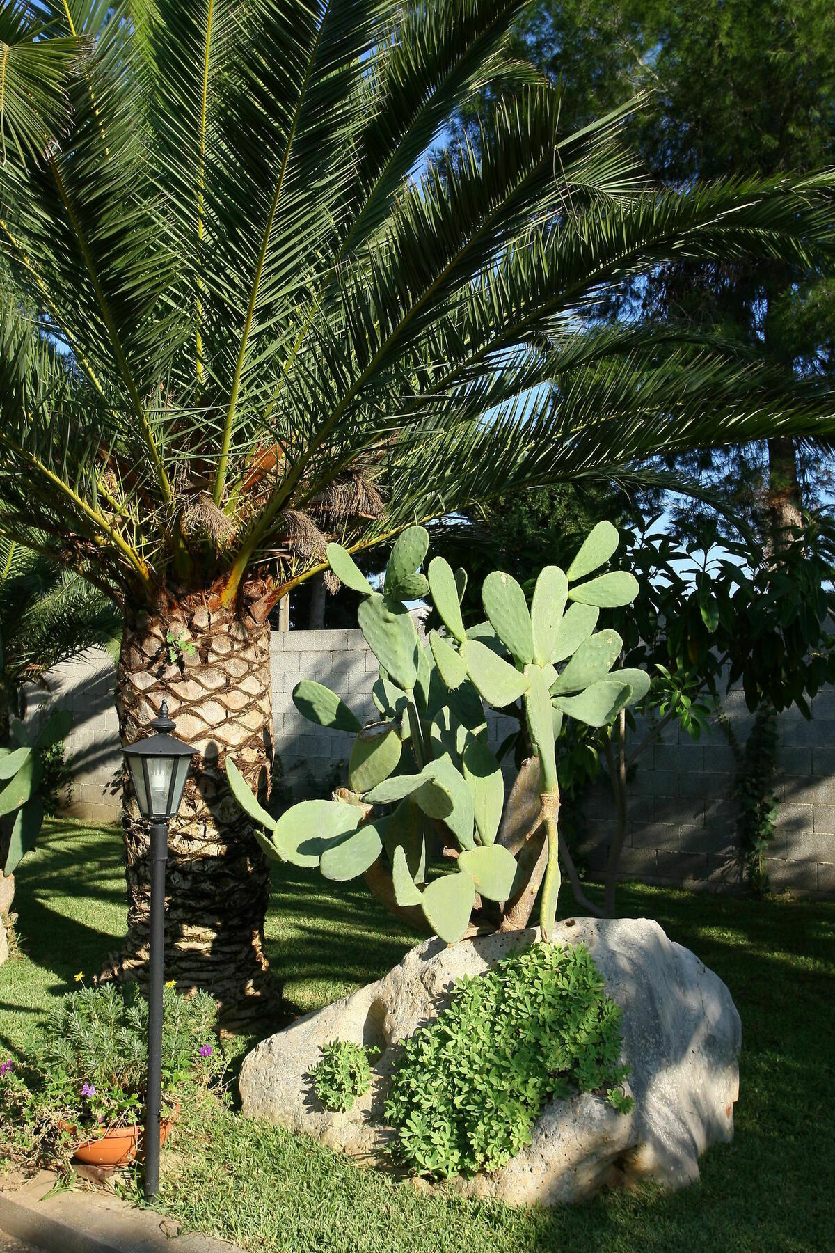 Lecce Guesthouse Exterior foto
